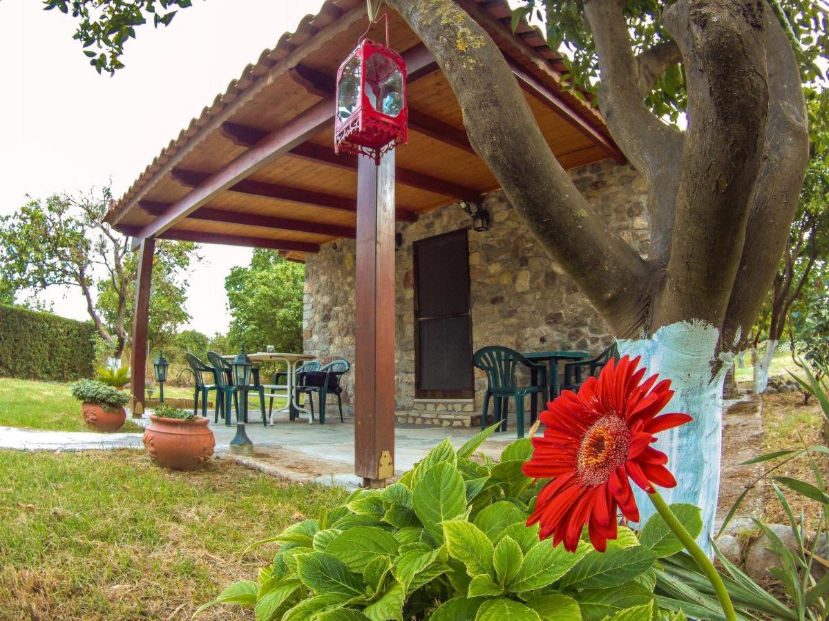 Patras Stonehouse With Large Yard - Πέτρινο Σπίτι Με Αυλή Villa Paralía Buitenkant foto