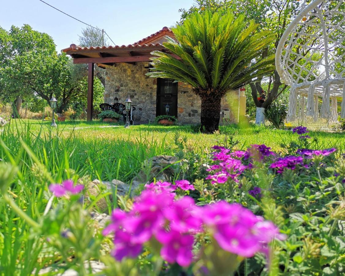 Patras Stonehouse With Large Yard - Πέτρινο Σπίτι Με Αυλή Villa Paralía Buitenkant foto